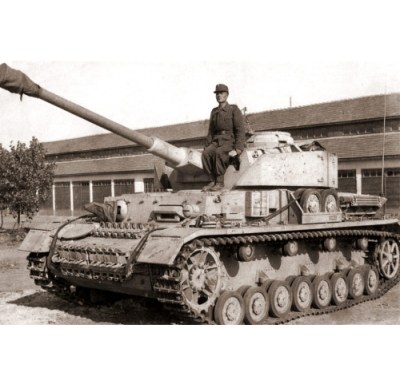 25765 (10)